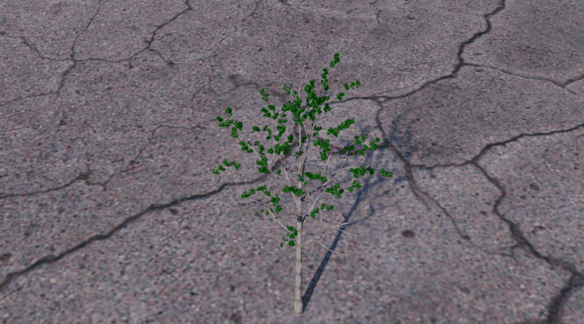 C4D植物森林生成插件Forester中文汉化支持R15-R25版本