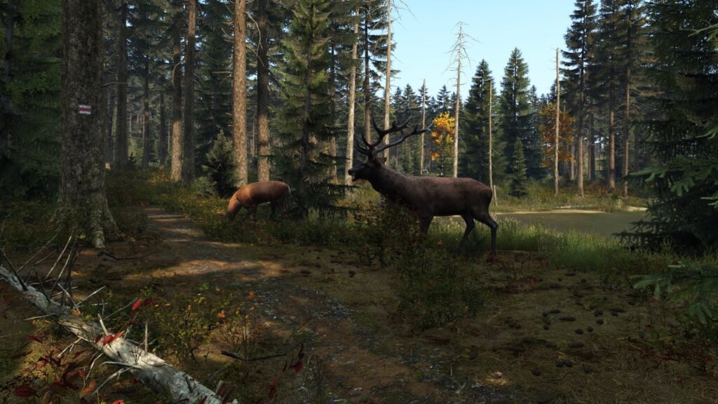DayZ最新v1.18.155060全DLC下载